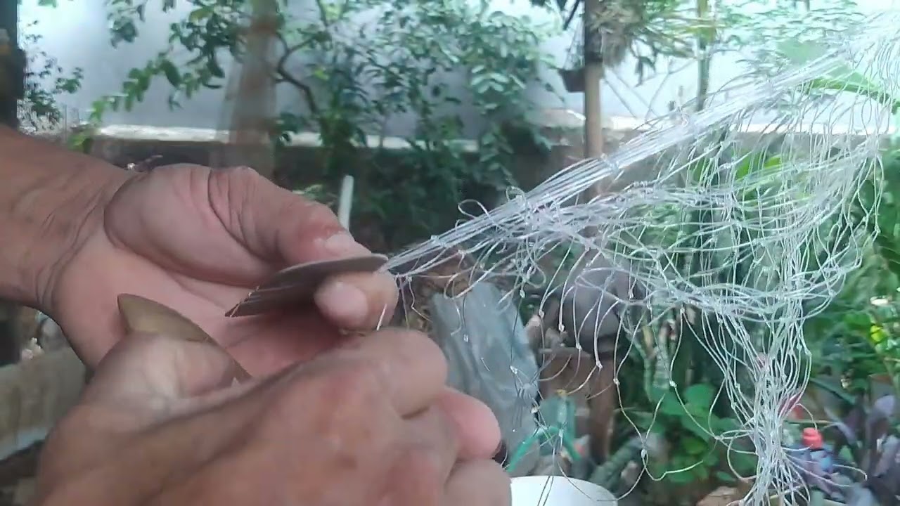 ENSINANDO  A DAR NÓ EM TARRAFA.