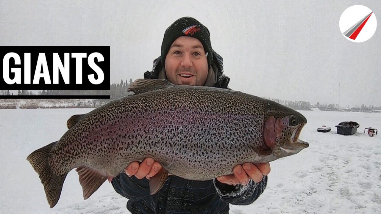 Ice Fishing For Giant Rainbow Trout