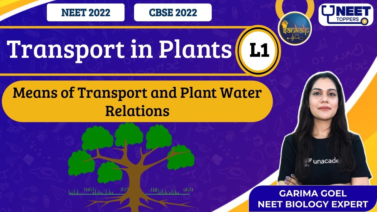 Phoenix 2.0: Biology Most Important Video for NEET 2025 | Unacademy NEET Toppers | Udaan