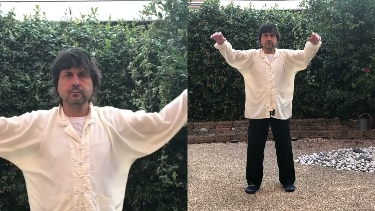 DC TAI CHI - Tui Na Articular # 01