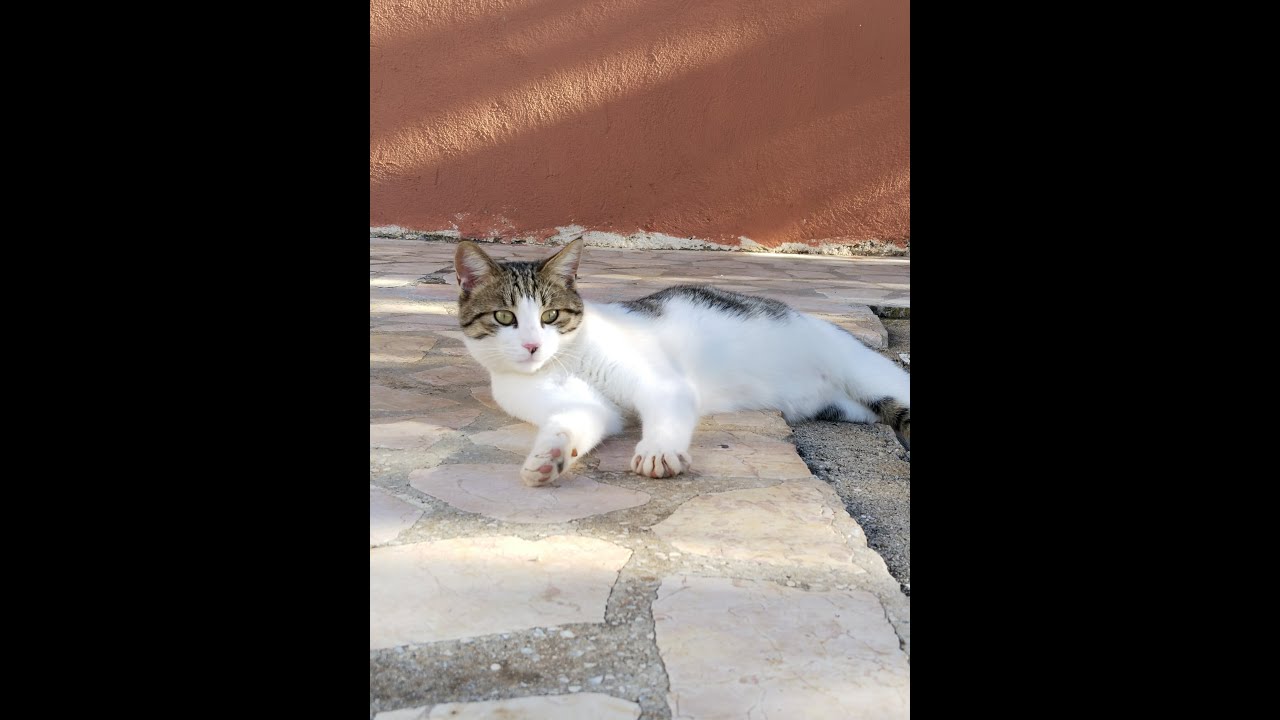 LIKYA 11: KAŞ - ÜZÜM ISKELESI (DRUVPIREN)