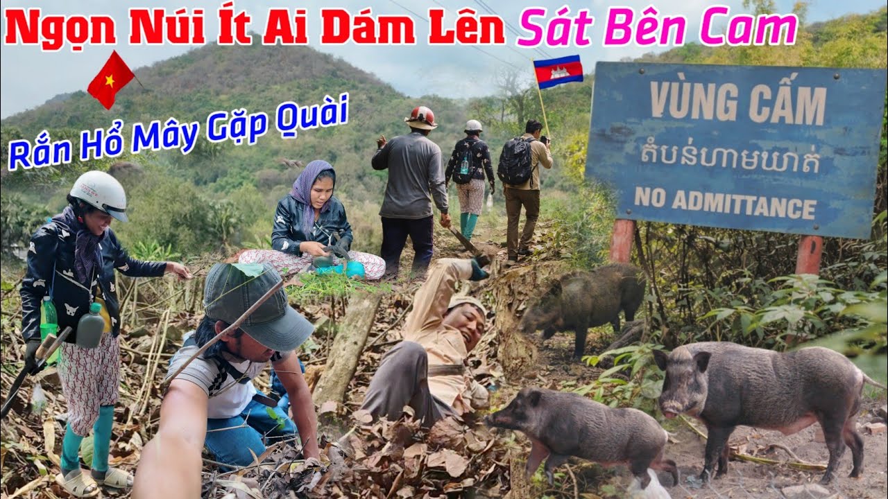 Liều mình xé rừng lên đỉnh núi không ai dám lên sát biên giới Cam, gặp nhiều heo rừng