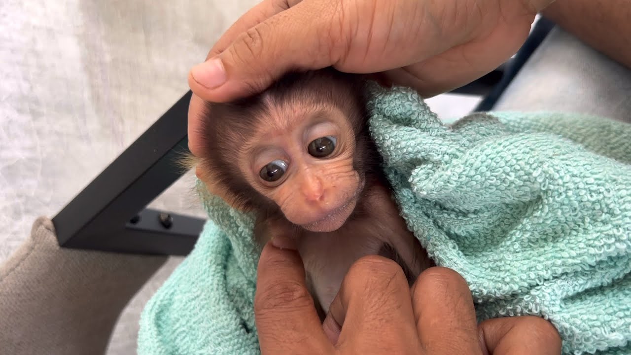 These small eyes hold sadness