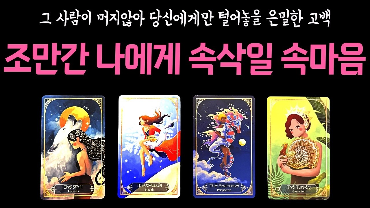 [타로🌷]  
