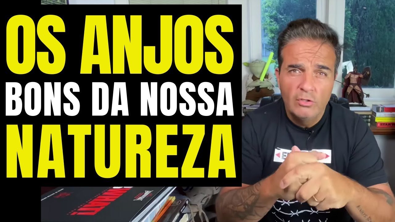 Os Anjos Bons da Nossa Natureza.