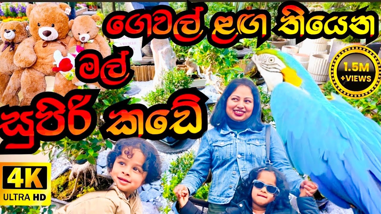 🪴🌴🌳🌲 මල් කඩෙ සත්තු🌴🪴🪴🐢🐊🫎