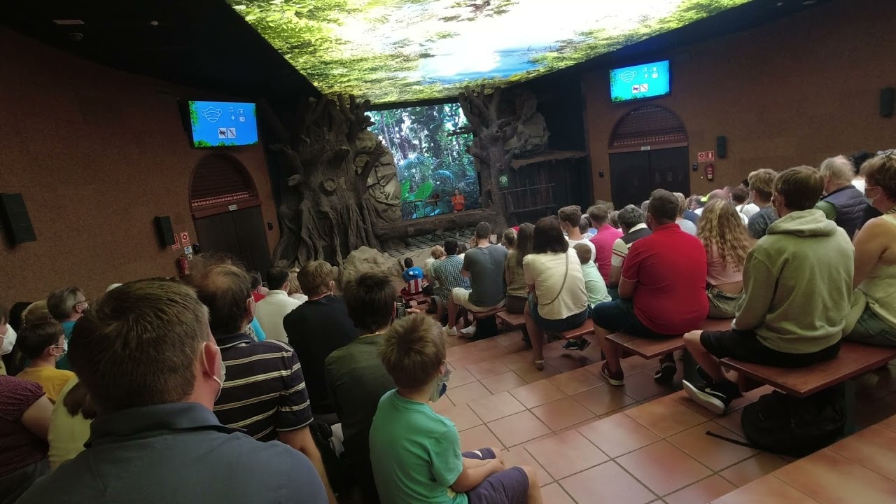 Loro Show at Loro Park Tenerife