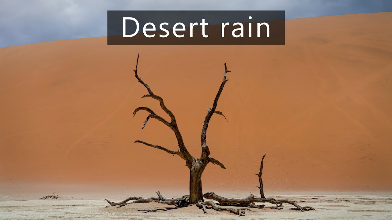 Rain in the desert