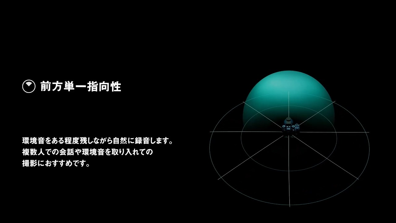 商品紹介 LUMIX DMW-DMS1 デジタルガンマイクロホン 6つの指向性モード【パナソニック公式】