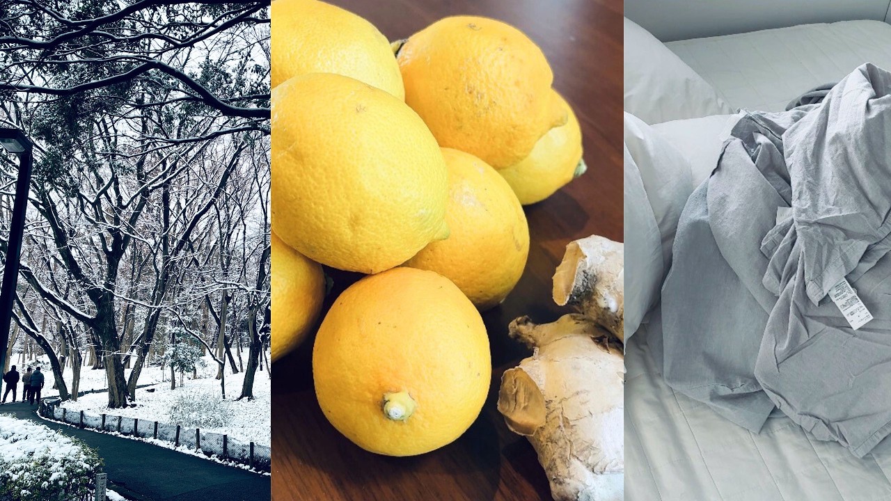 Snowy Days with Lemon and Ginger |  雪の日、レモンと生姜のある暮らし