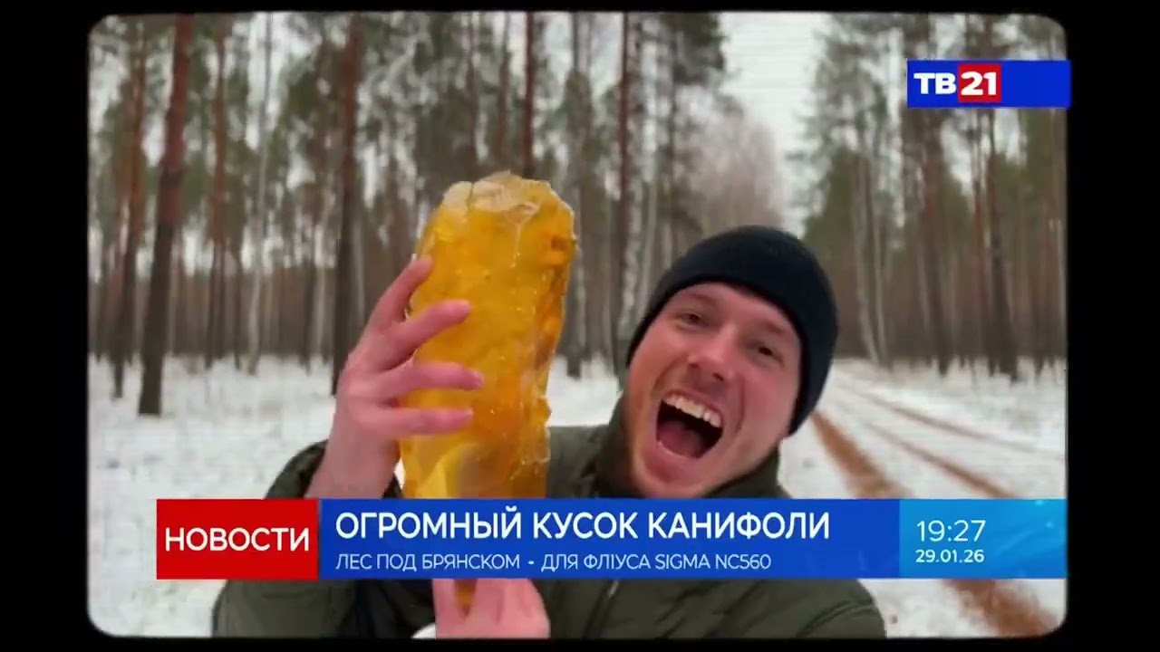В лесу под Брянском радиолюбитель нашёл огромный кусок канифоли — как вы её используете?