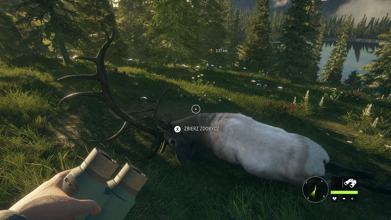 the Hunter :Call of the Wild. Wapiti💎?🎇#24.