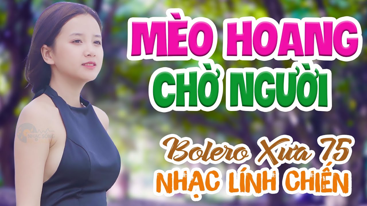 MÈO HOANG CHỜ NGƯỜI HẠ THƯƠNG - LK Bolero Nhạc Vàng ĐẶC BIỆT 1001 Bài Nhạc Lính 1975