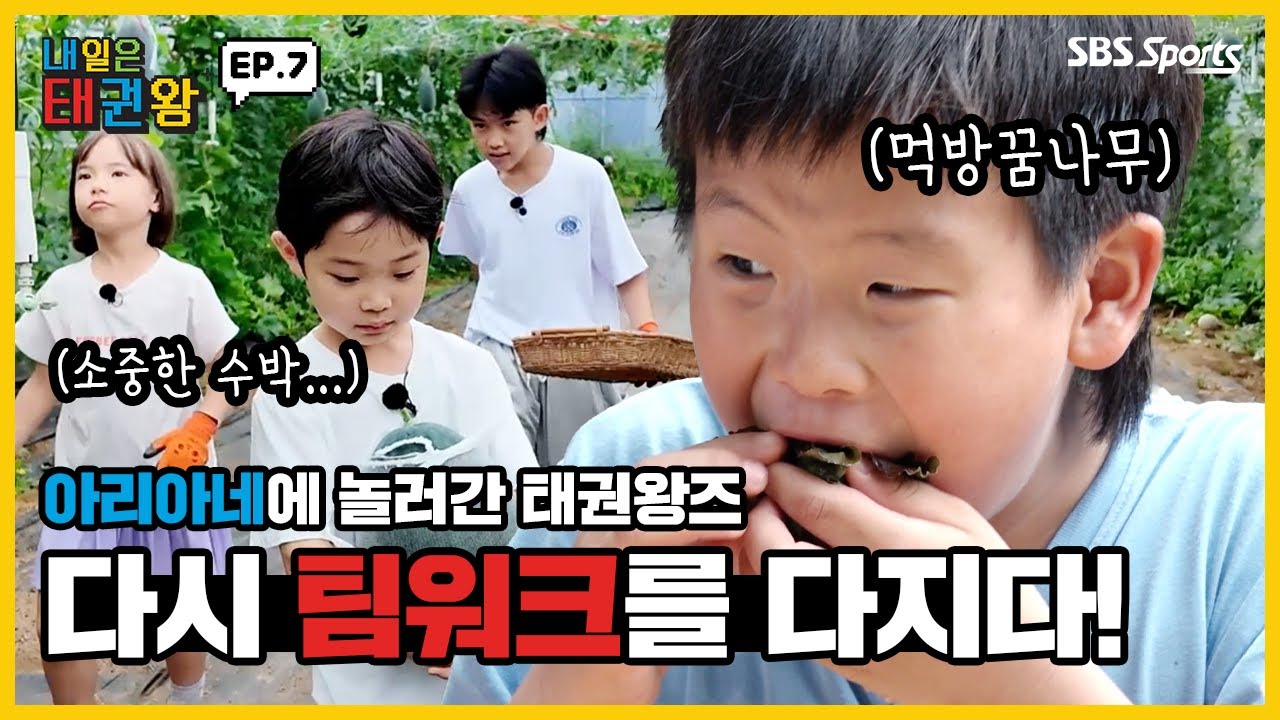 아리아네에 놀러간 태권왕즈 다시 팀워크를 다지다!ㅣEP.7ㅣ매주 일요일 오전 9시ㅣ#SBSsportsㅣ#내일은태권왕 #TAEKWONDO #betheone