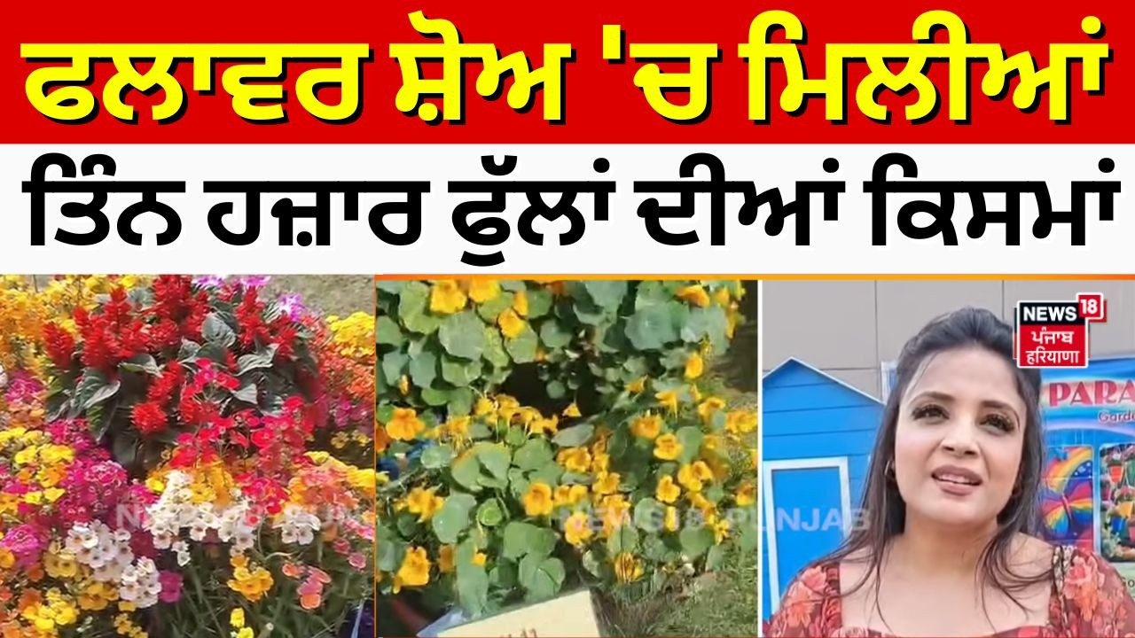 Ludhiana News |  ਫਲਾਵਰ ਸ਼ੋਅ 'ਚ ਮਿਲੀਆਂ ਤਿੰਨ ਹਜ਼ਾਰ ਫੁੱਲਾਂ ਦੀਆਂ ਕਿਸਮਾਂ | Flower Show | N18V