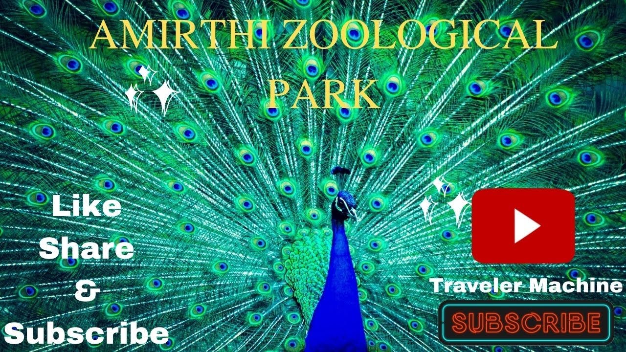 Vellore Amirthi Zoological Park - Safest Place for Couples and Families