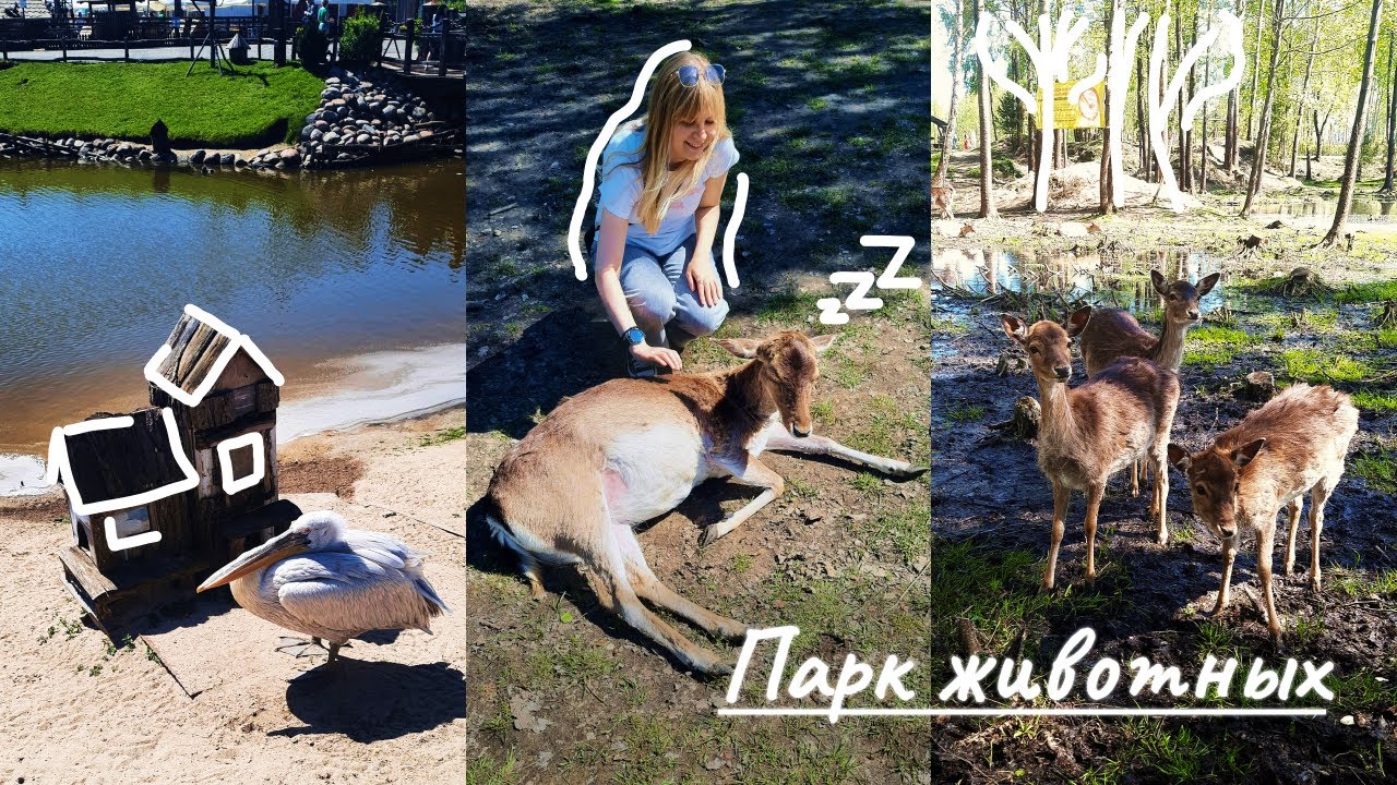 УНИКАЛЬНЫЙ в Европе Парк животных 