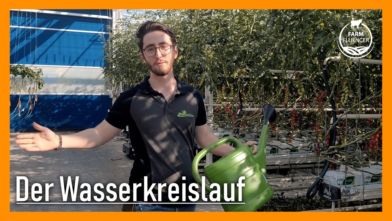 🌱 Nachhaltige Tomatenzucht! 💦 | Tomaten | Farmfluencer