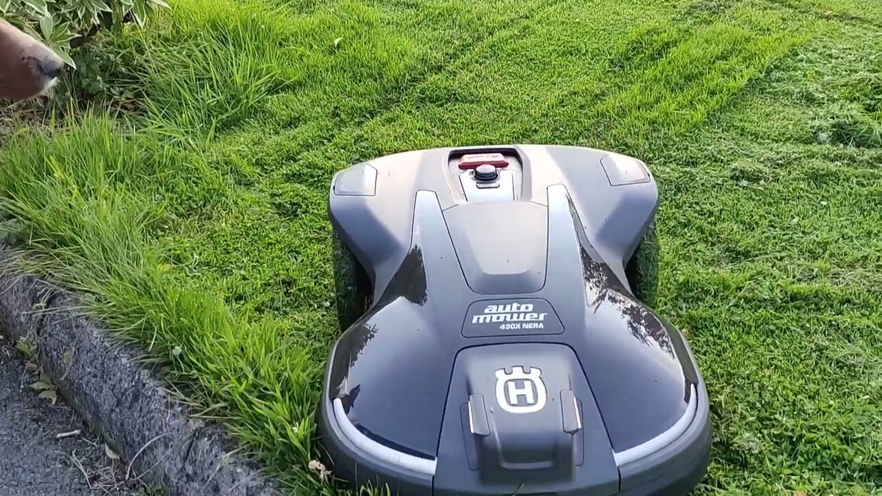 Husqvarna 430x Nera