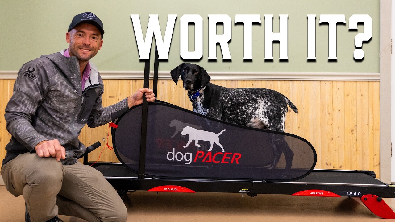 Стоит ли покупать Dog Pacer 4.0? Мы это проверили!