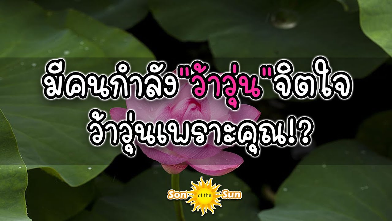 👉 มีคนกำลัง