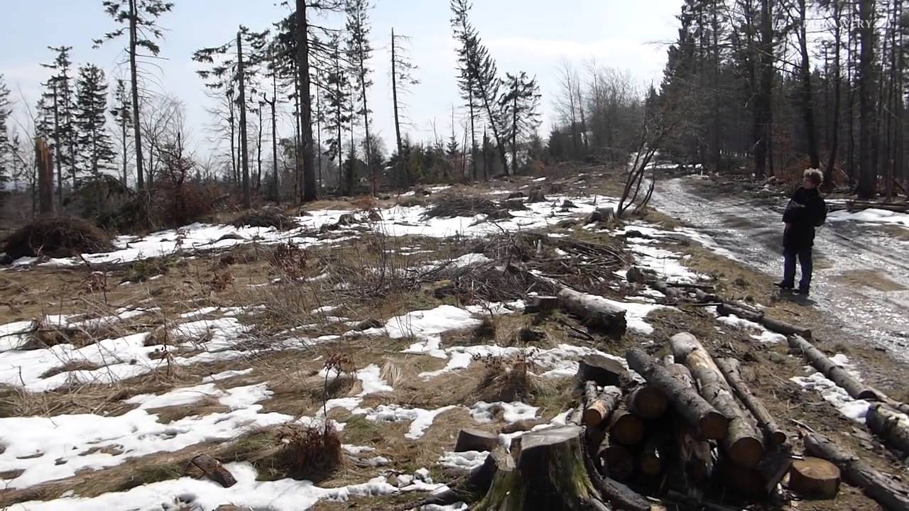 Wiosna na szlaku Czantoria-Stożek - Beskid Śląski, Ustroń, Wisła 2015
