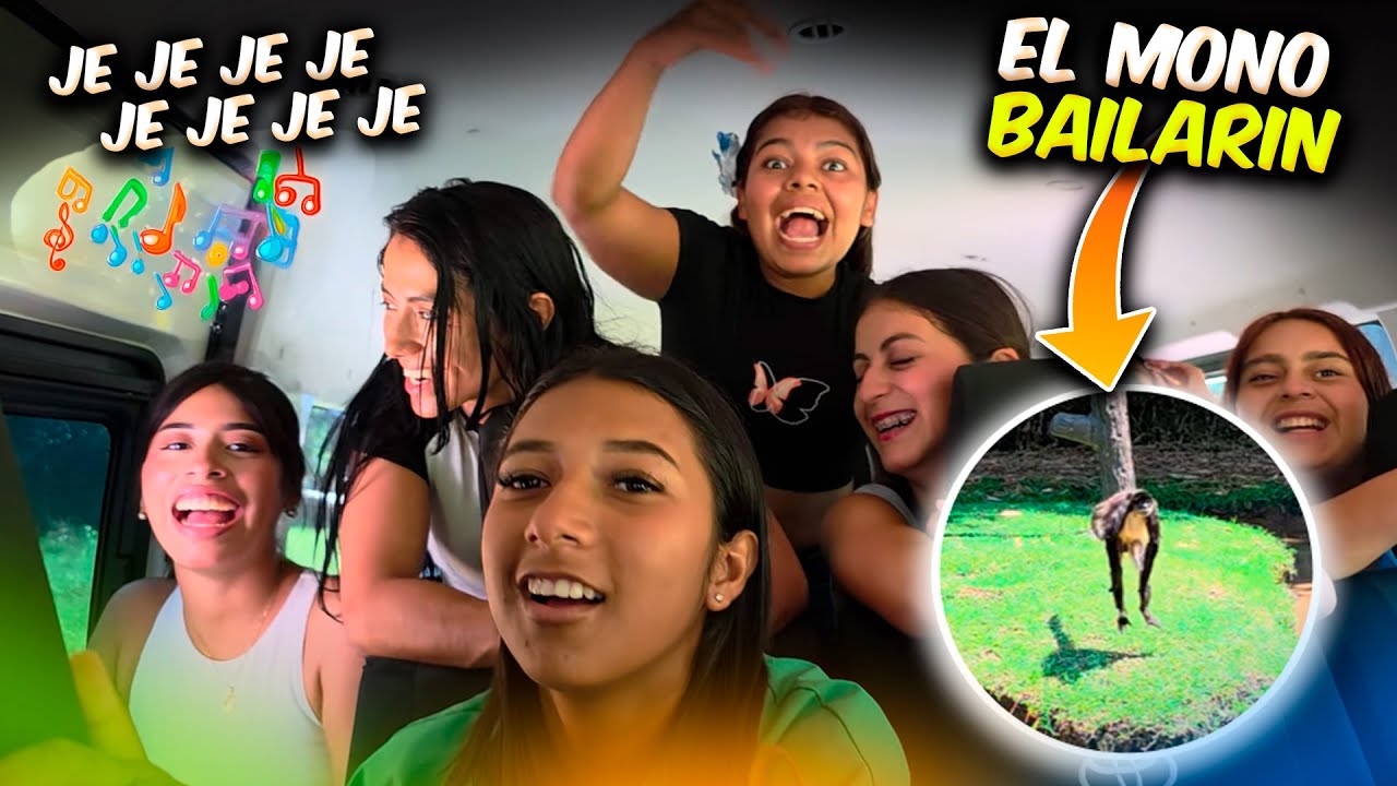 Encontramos un mono bailarín y las Bichas le cantaron