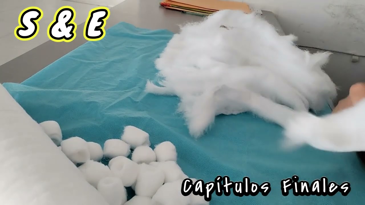 UN AMOR PARA TODA LA VIDA/eviFINAL/SOLOS TU Y YO