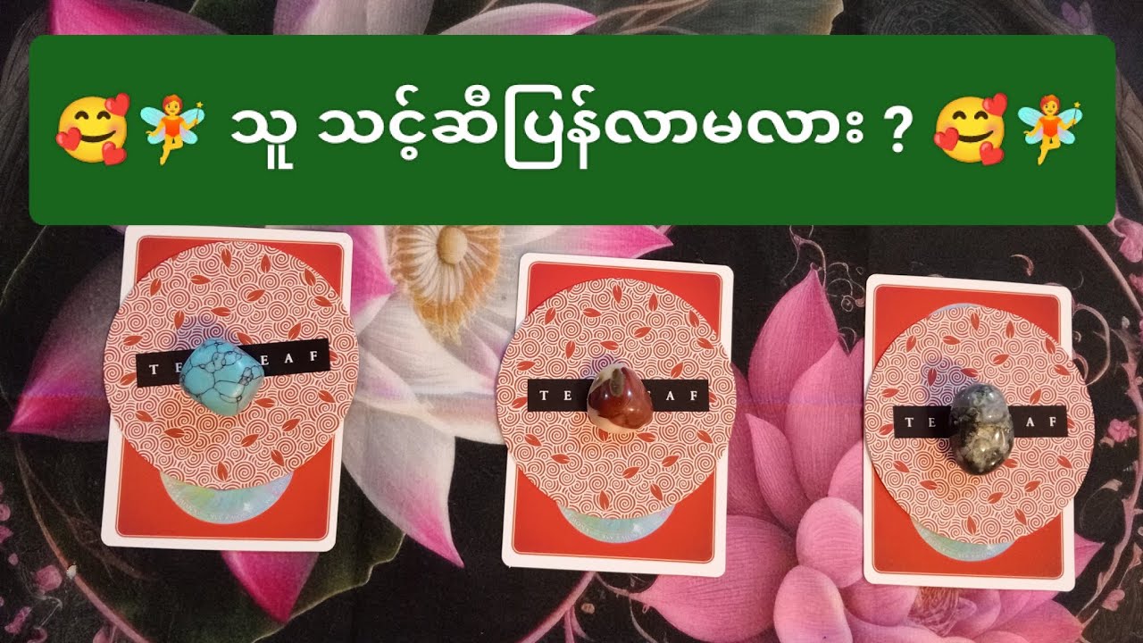 🧚🥰 သူ သင့်ဆီပြန်လာမှာလား ? 🧚🥰
