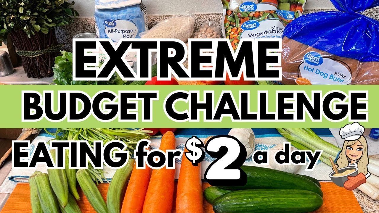 ✨EXTREME GROCERY BUDGET CHALLENGE with MEALS