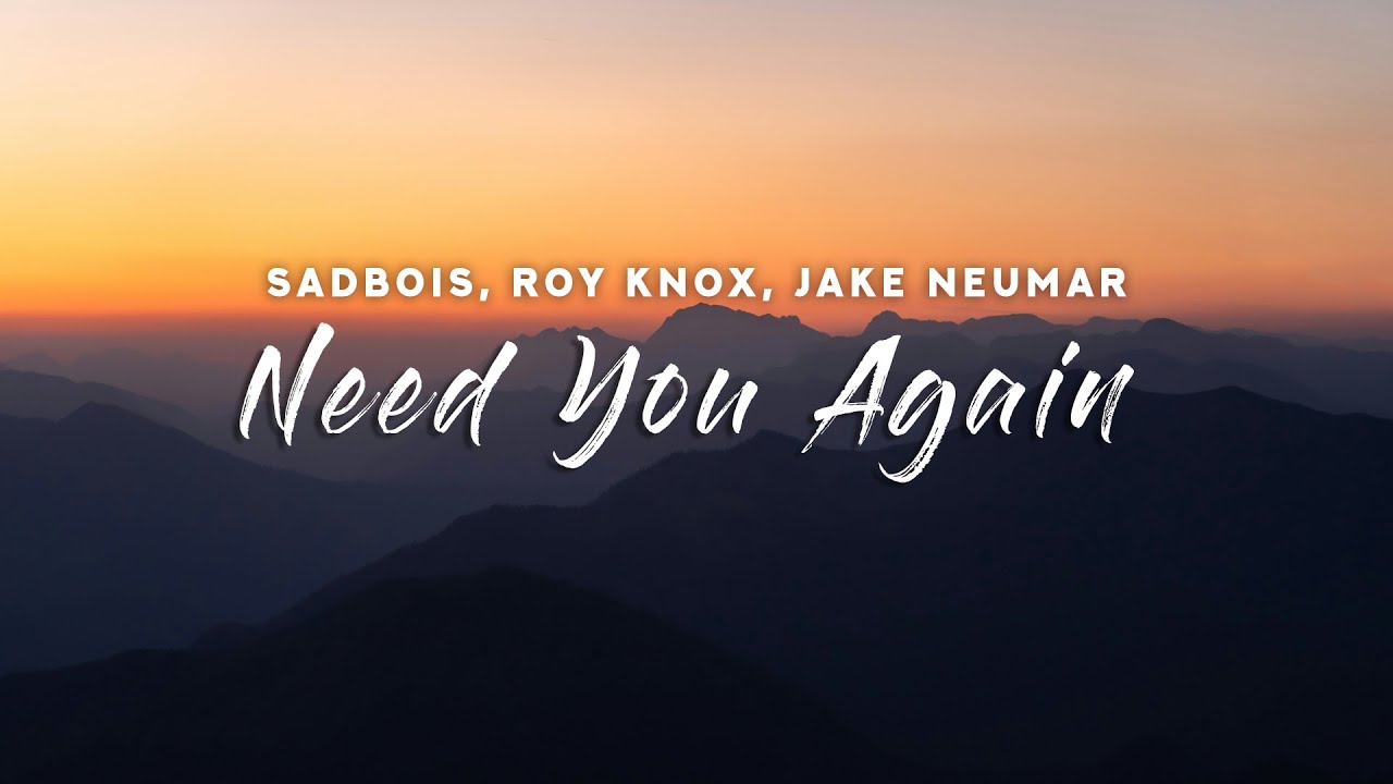 SadBois, ROY KNOX, Jake Neumar - Need You Again (Lyrics)