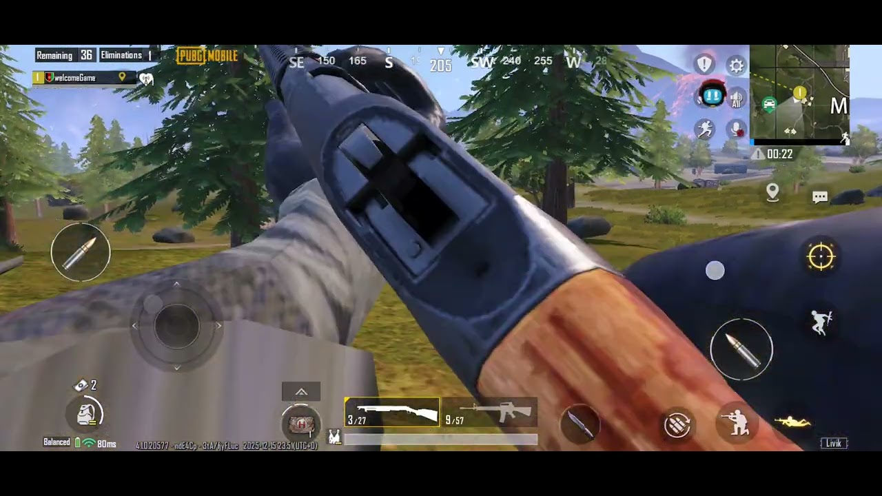 Pupg .obile I won