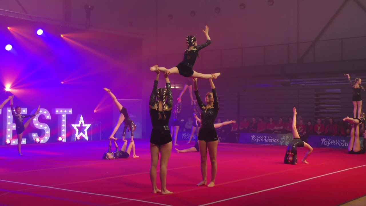 Gymfest 2019 Mid Sutton Display Team