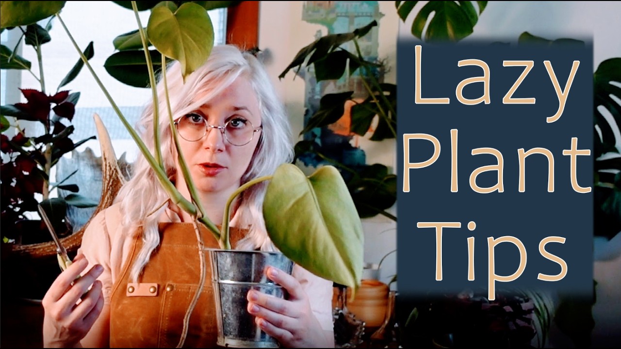 I became the LORD of the houseplants