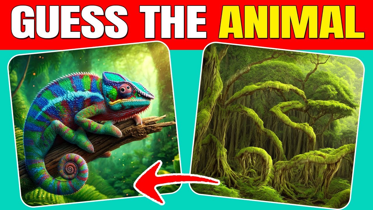Угадай спрятанных животных от ILLUSIONS 🦁🦎🦅 | Уровни лёгкий, средний, сложный | Quizzer Odin