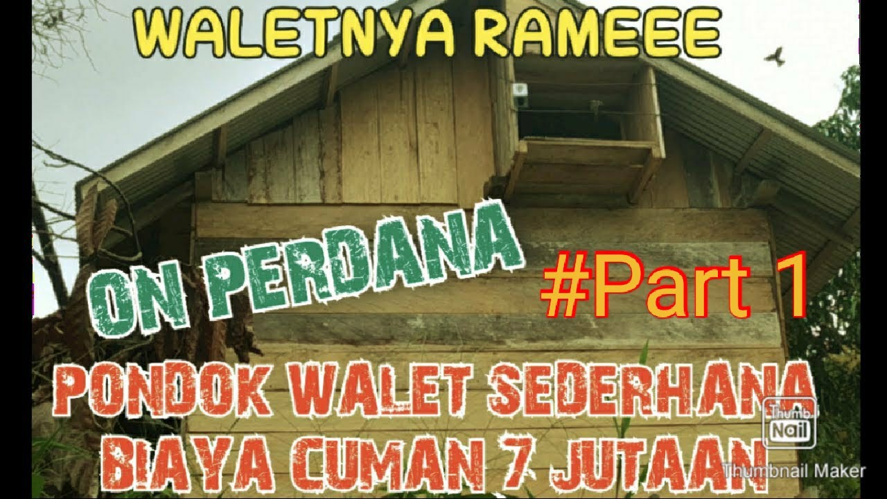 ON PERDANA DI PONDOK WALET SEDERHANA YANG MODAL KECIL #rbw #walet #budidayawalet #ampaskopicelebes