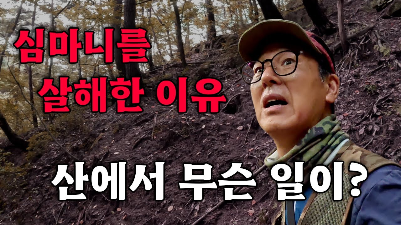 심마니를 살해한 이유 ? 그날 산에서 무슨 일이 ?