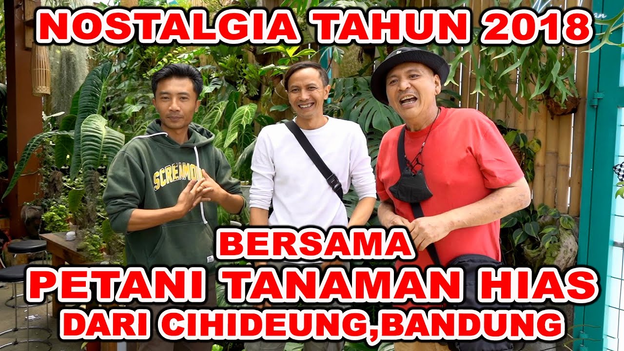 Nostalgia Tahun 2018, Bersama Petani Tanaman Hias dari Cihideung Bandung