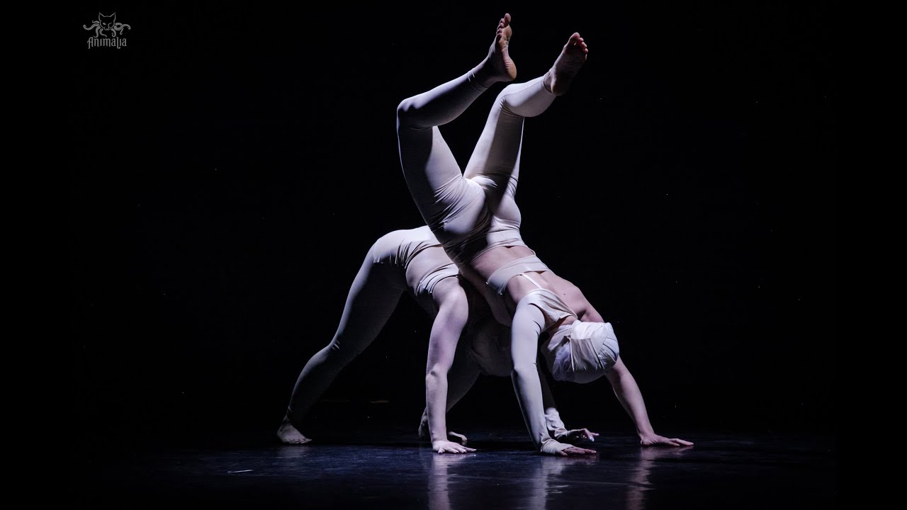 СHIMERA | KATERINA AKIMOVA & DARIA SUSPITSYNA | J-TEAM FEST 2024 | ANIMALIA SHOW