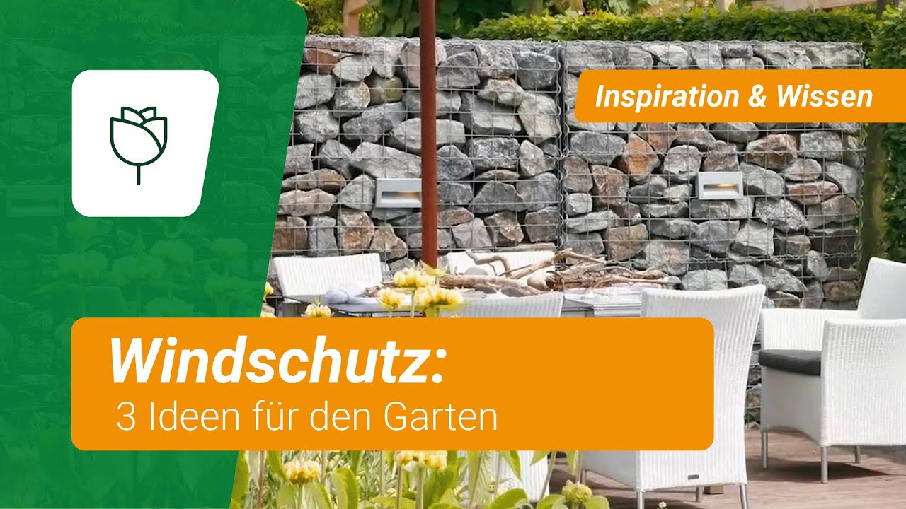 Windschutz f&uuml;r den Garten: 3 Ideen
