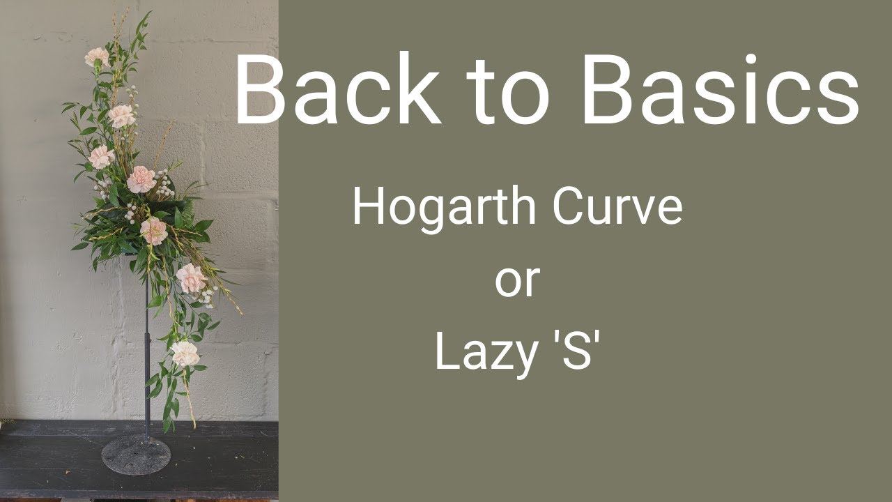 Back to Basics - Hogarth Curve  or Lazy S