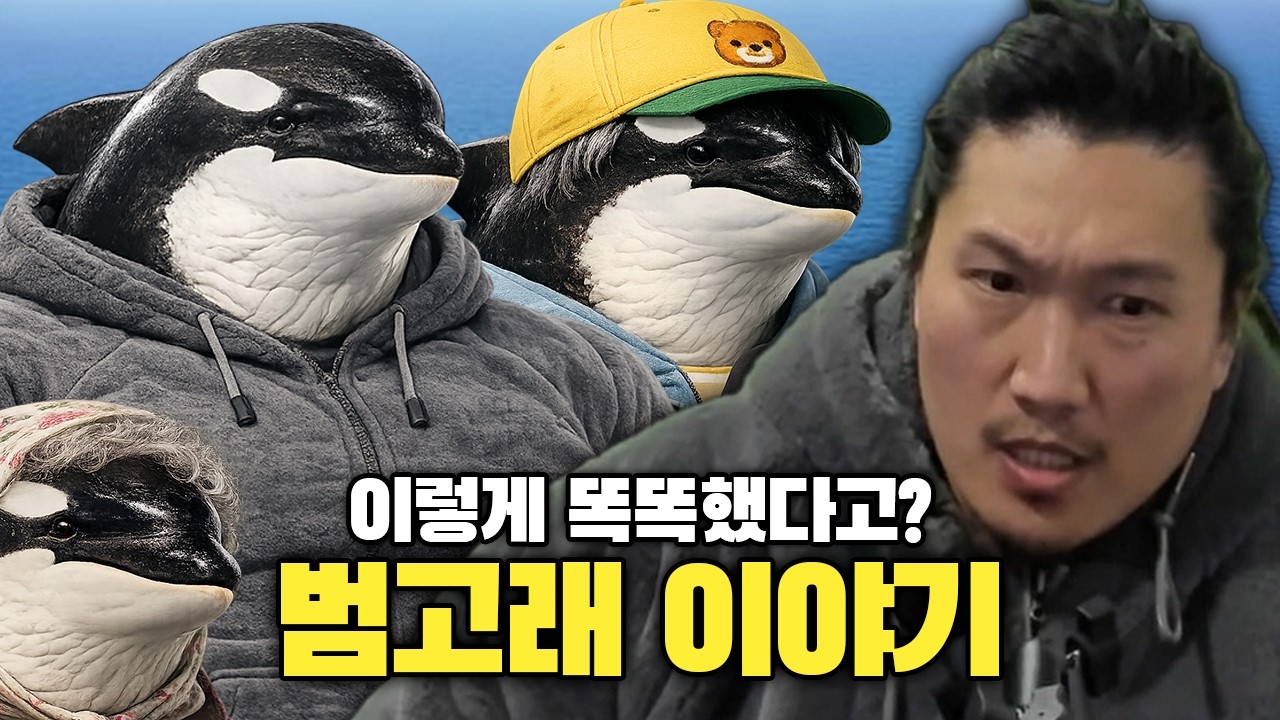 [흑자동물 3] 범고래는 싸패다