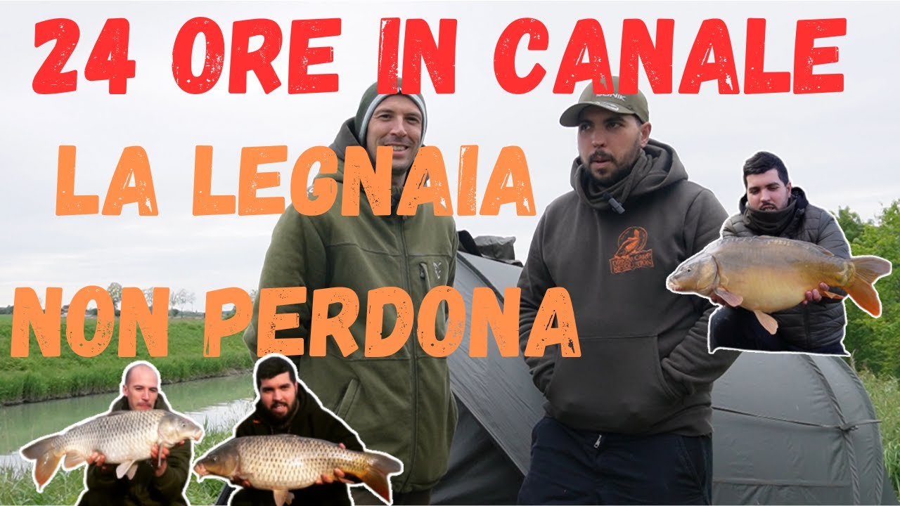 CARPFISHING La legnaia non perdona