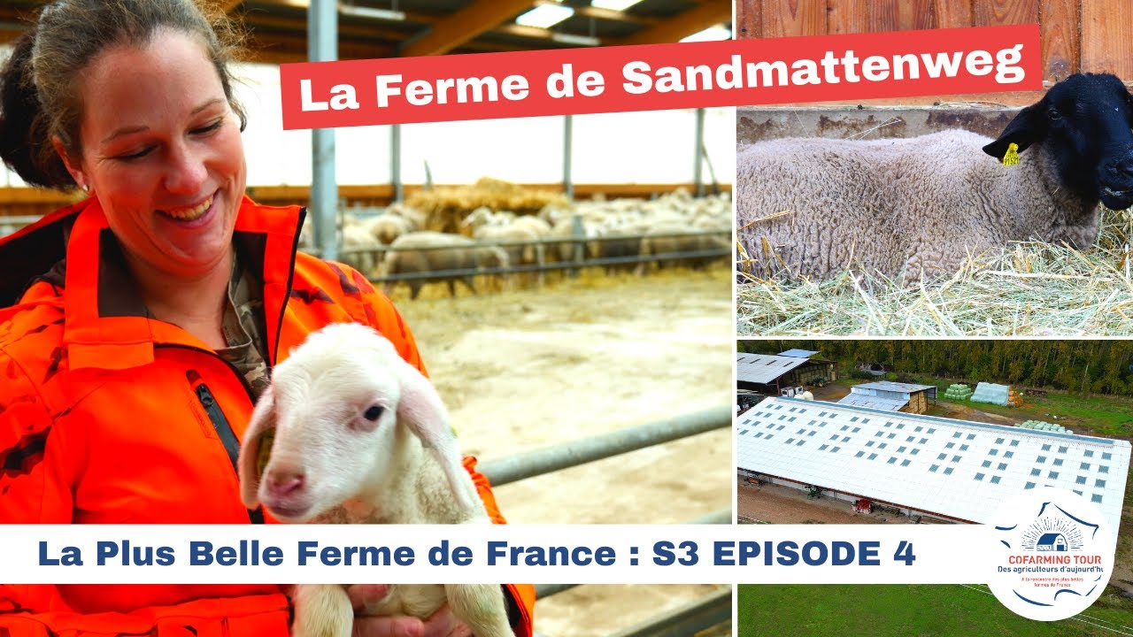 La Ferme de Sandmattenweg 🇫🇷 LA PLUS BELLE FERME DE FRANCE