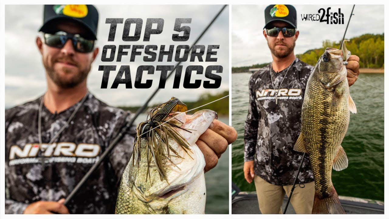 Offshore Bass Fishing Baits | Dakota Ebare's Top Picks