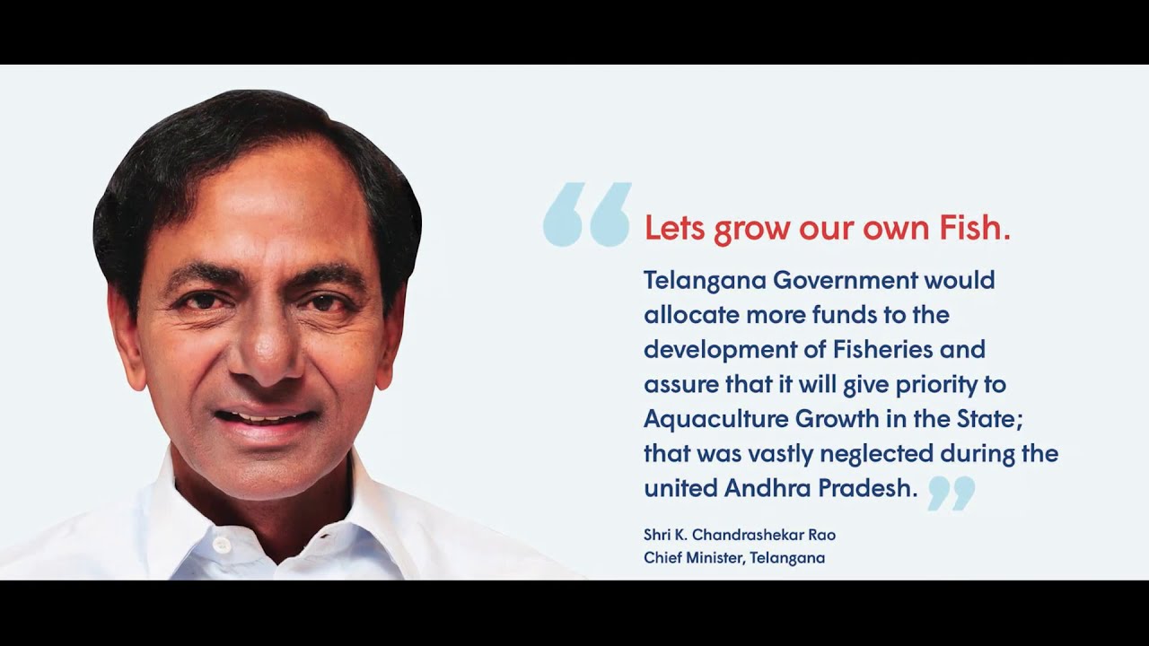 #Telangana#Fisheries at a glance