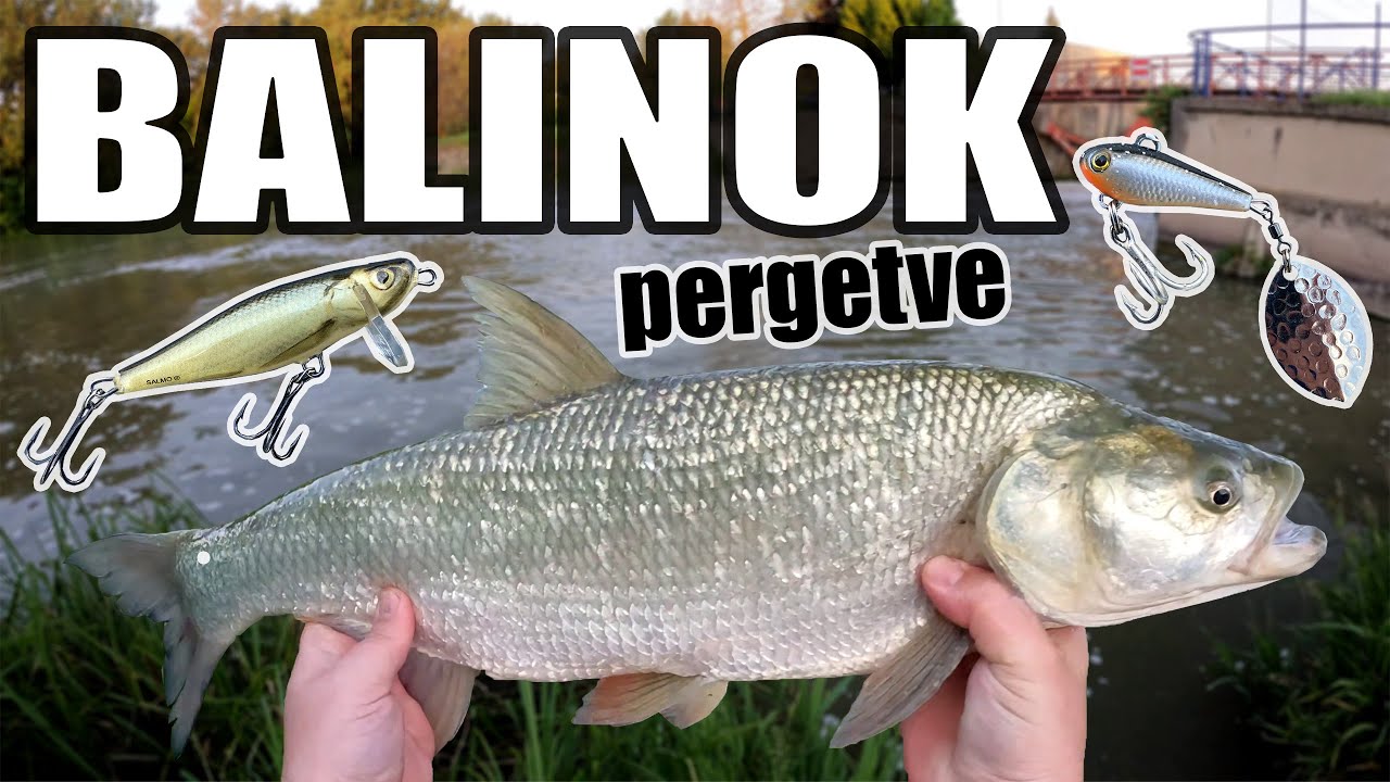 Építettem egy pergető botot és ki is próbáltam - Dimakfishing 7.rész
