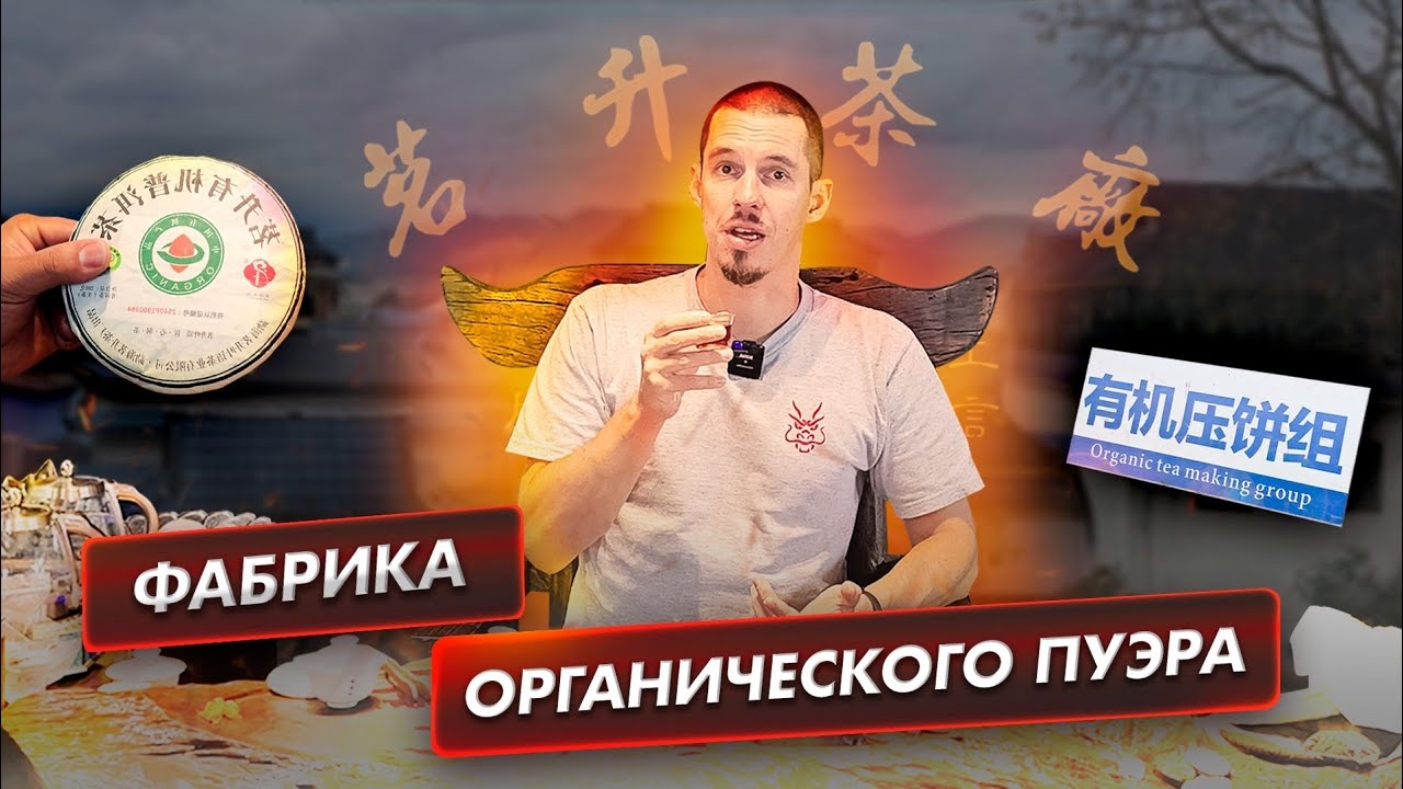 Как делают органический пуэр в Китае? От прессовки до фасовки