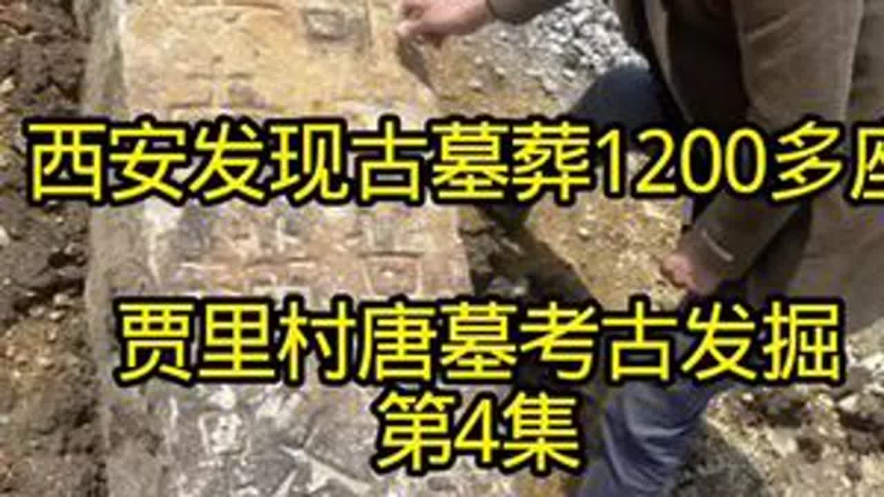 西安发现古墓葬1200多座贾里村唐墓考古发掘第4集#考古发现 #历史故事