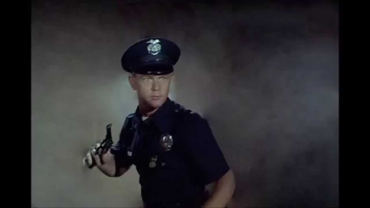 Martin Milner - Fire